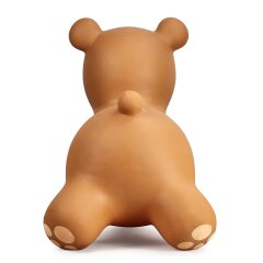 Bouncing animal bear with pump