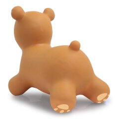 Bouncing animal bear with pump