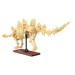 CaDA Fossile de dinosaure Stegosaurus Bricks