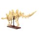 CaDA Fósil de dinosaurio Stegosaurus 1:23 Bricks
