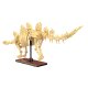 CaDA Fossile de dinosaure Stegosaurus Bricks