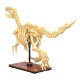 CaDA Fossile de dinosaure Stegosaurus Bricks