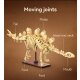 CaDA Fossile de dinosaure Stegosaurus Bricks