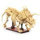 CaDA Fossile de dinosaure Triceratops Bricks