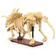 CaDA Fossile de dinosaure Triceratops Bricks