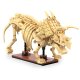 CaDA Fossile di dinosauro Triceratops 1:33 Bricks