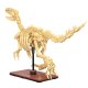 CaDA Fósil de dinosaurio Velociraptor Bricks