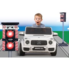 Blitzer Traffic Flash