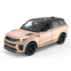 Range Rover Sport SV 1:14 gold 2,4GHz manual door