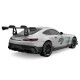 Mercedes-AMG GT2 1:24 grau 2,4GHz