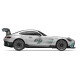 Mercedes-AMG GT2 1:24 grau 2,4GHz