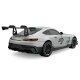 Mercedes-AMG GT2 1:24 gris 2,4GHz