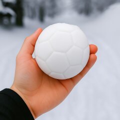Snow Play Lanzador de bolas de nieve 2en1