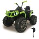 Ride-on Quad Predector green 12V