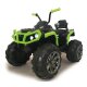 Ride-on Quad Predector green 12V