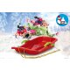 Snow Play Bob Karol 80cm red with Brake