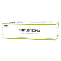 Ride-on Bentley EXP12 verde 12V