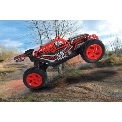 Cubic Desert Buggy 1:14 2,4GHz