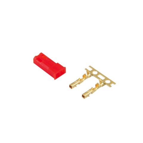 Presa maschio Gold BEC