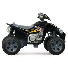 Ride-On Quad 12V