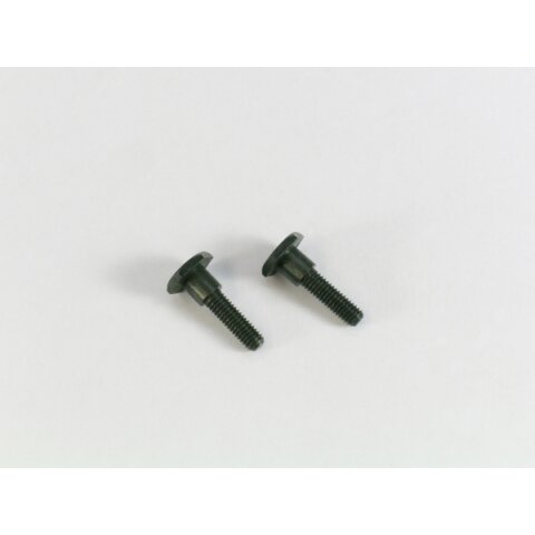 Steering Plate Hex Screws J-33 2pcs