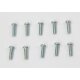 Fillister head cap screw M3x10 10pcs.